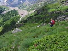 Alpe Fad